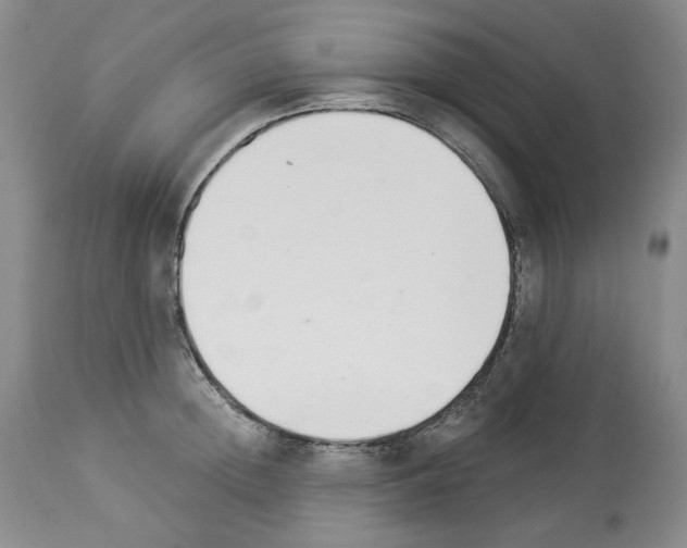 X0000112840852200910021106