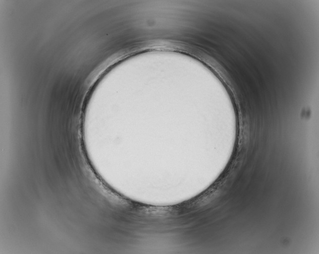 X0000112840853200910021106