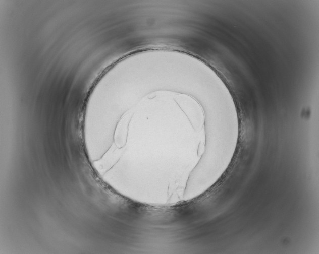 X0000112840856200910021106