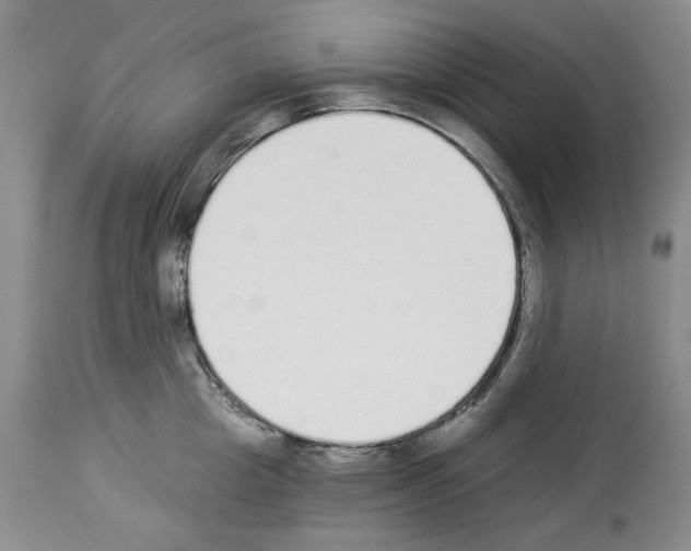 X0000112840857200910021106