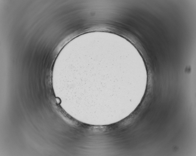 X0000112840858200910021106