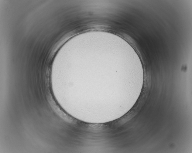 X0000112840859200910021106