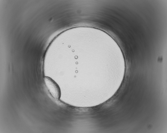 X0000112840862200910021106