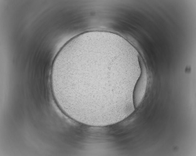 X0000112840863200910021106