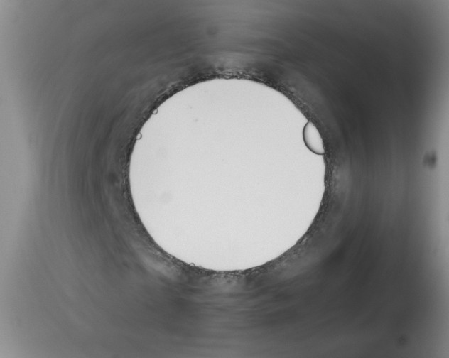 X0000112840865200910021106