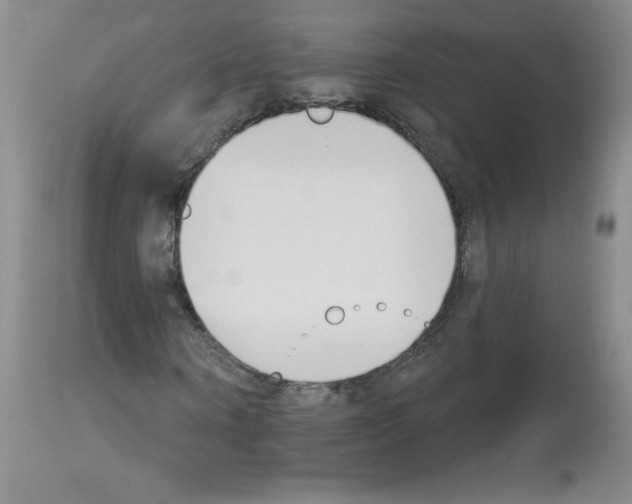 X0000112840866200910021106