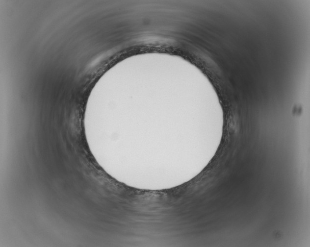 X0000112840869200910021106