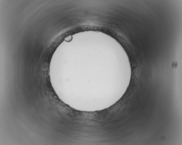 X0000112840870200910021106