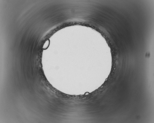 X0000112840872200910021106