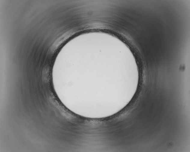 X0000112840873200910021106