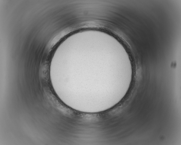 X0000112840874200910021106