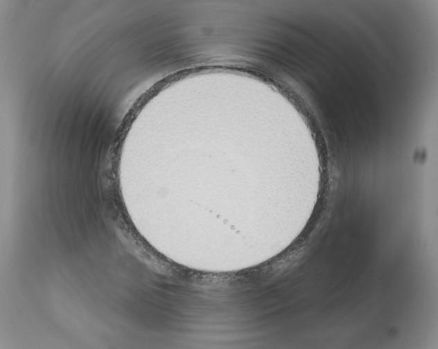 X0000112840875200910021105