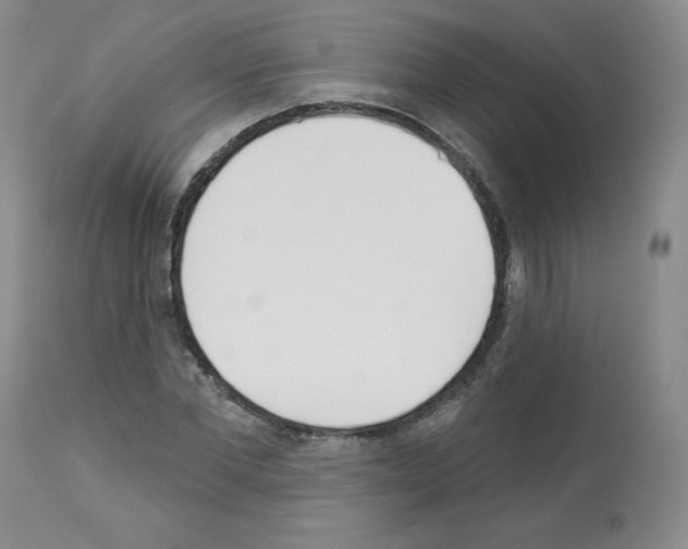 X0000112840877200910021105