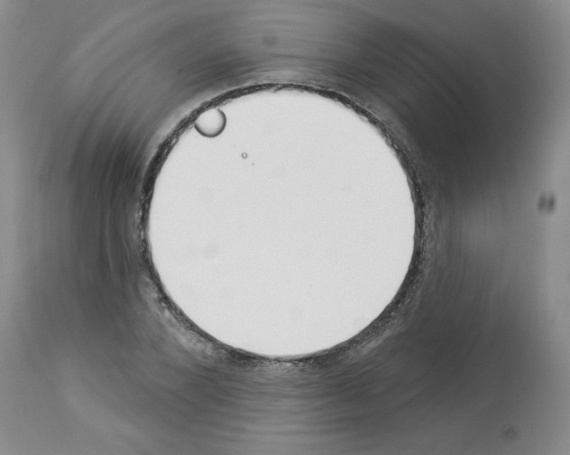 X0000112840880200910021105