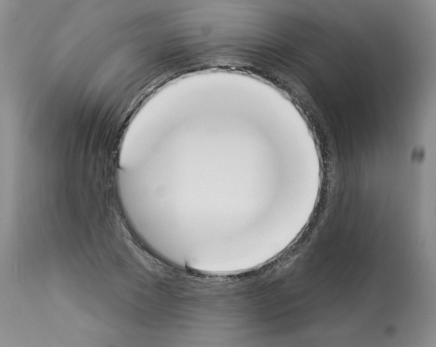 X0000112840881200910021105