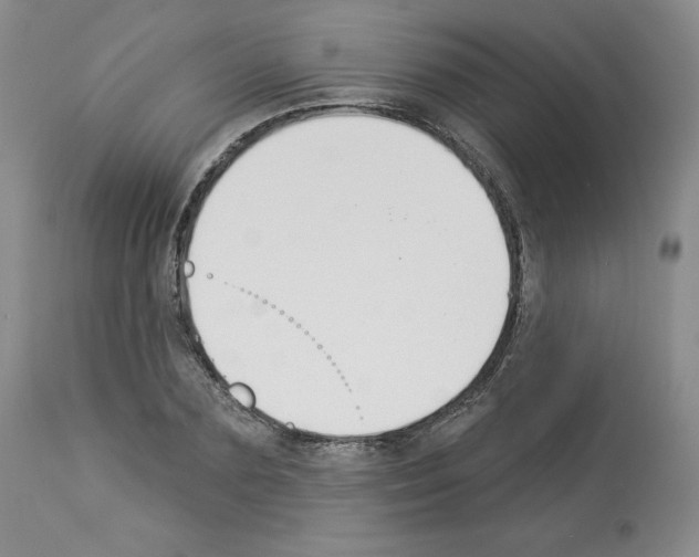 X0000112840883200910021105