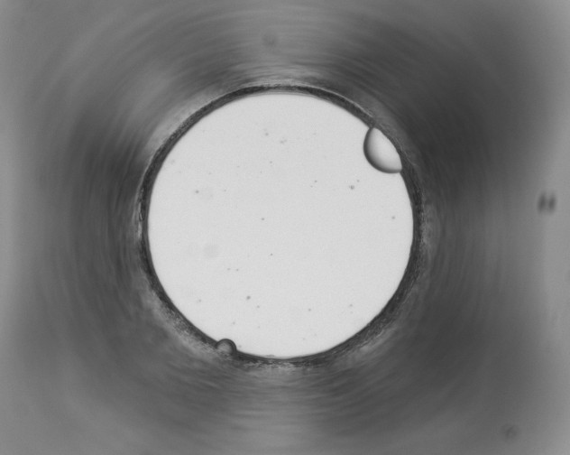 X0000112840885200910021105