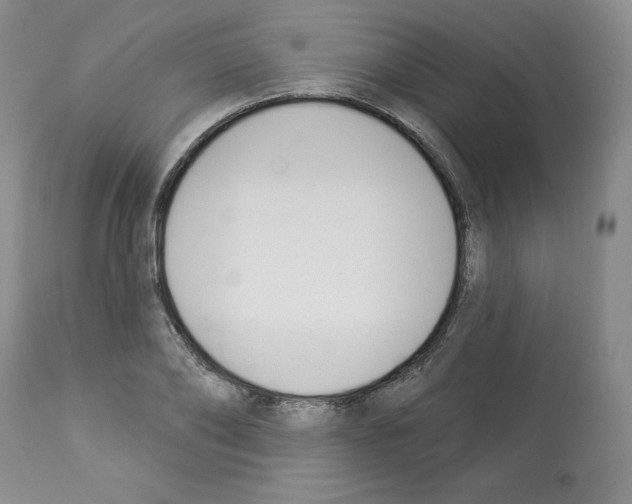 X0000112840886200910021105