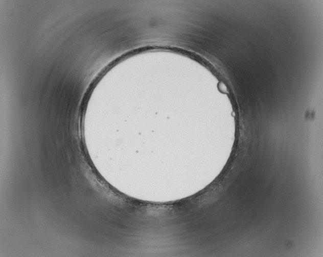 X0000112840887200910021105