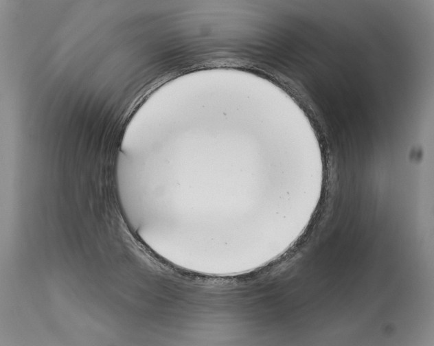 X0000112840889200910021105