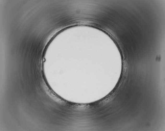 X0000112840891200910021105