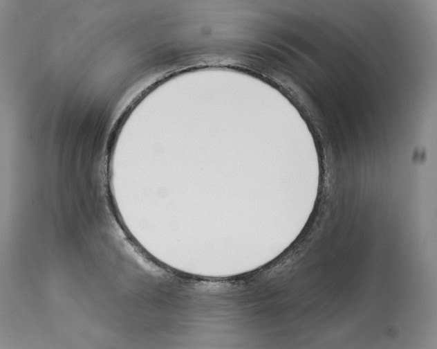 X0000112840894200910021105