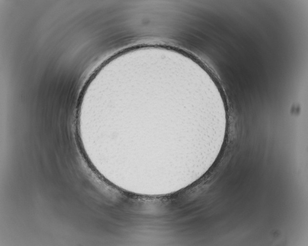 X0000112840895200910021105