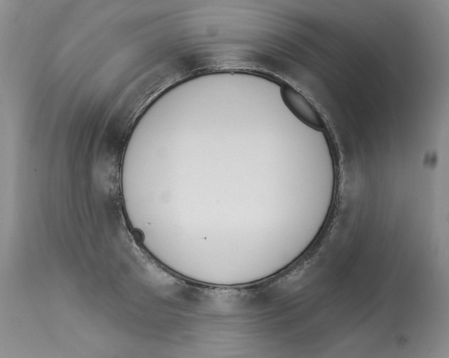 X0000112840897200910021105