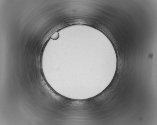 X0000112840898200910021105