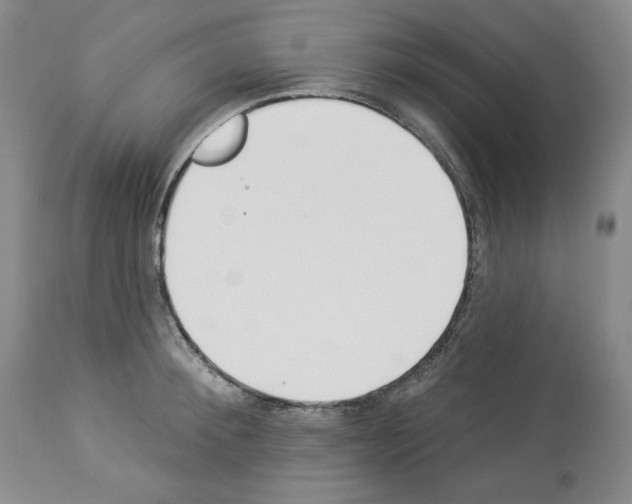 X0000112840900200910021105