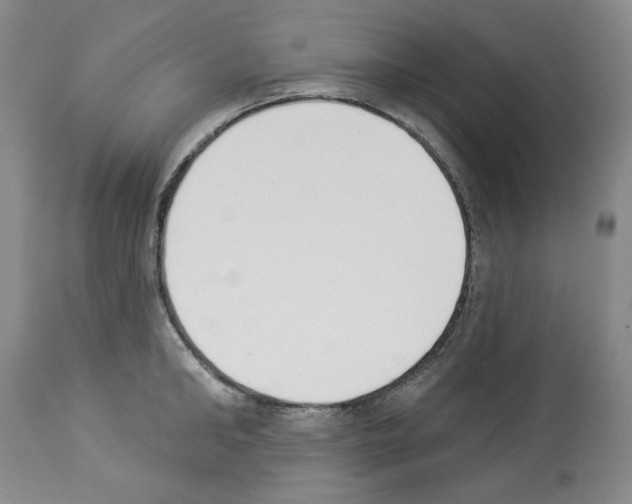 X0000112840902200910021105