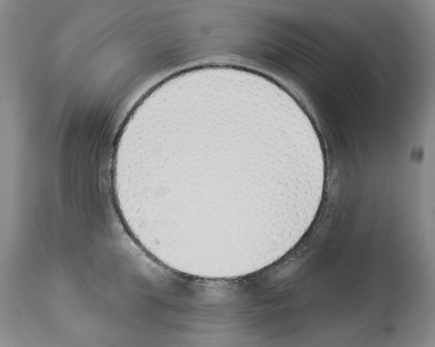 X0000112840903200910021105