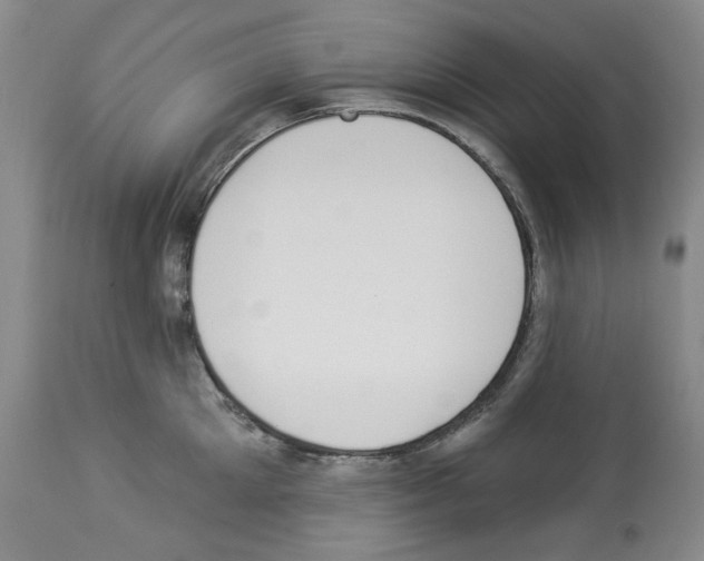 X0000112840905200910021105