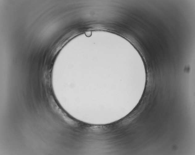 X0000112840906200910021105