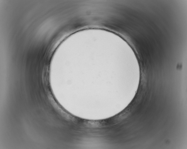 X0000112840911200910021105