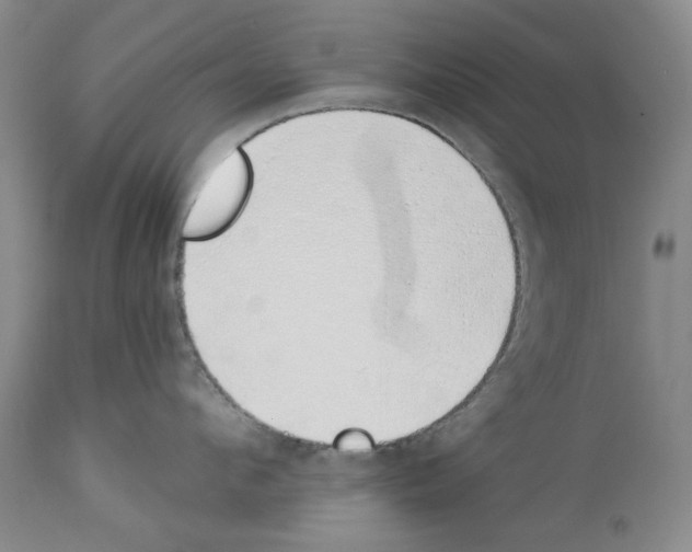 X0000112840912200910021105