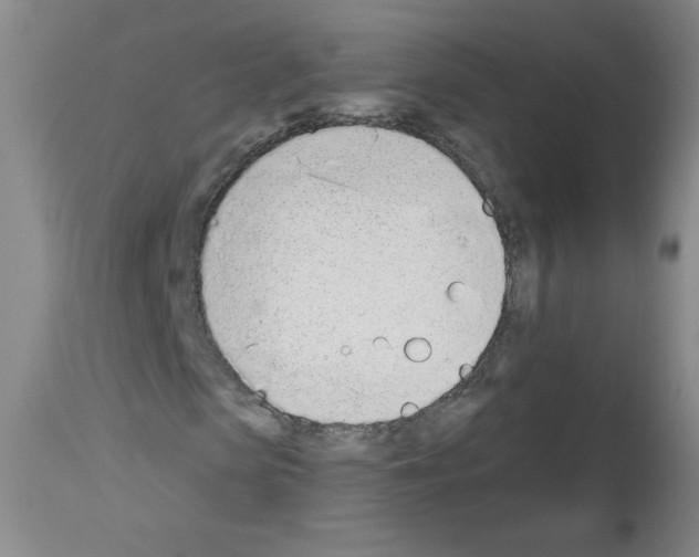 X0000112840913200910021104