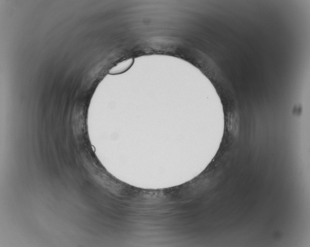 X0000112840915200910021104