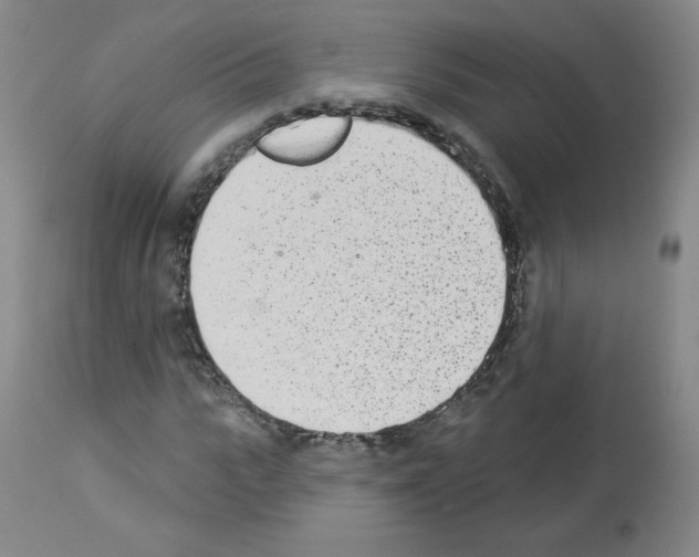 X0000112840919200910021104