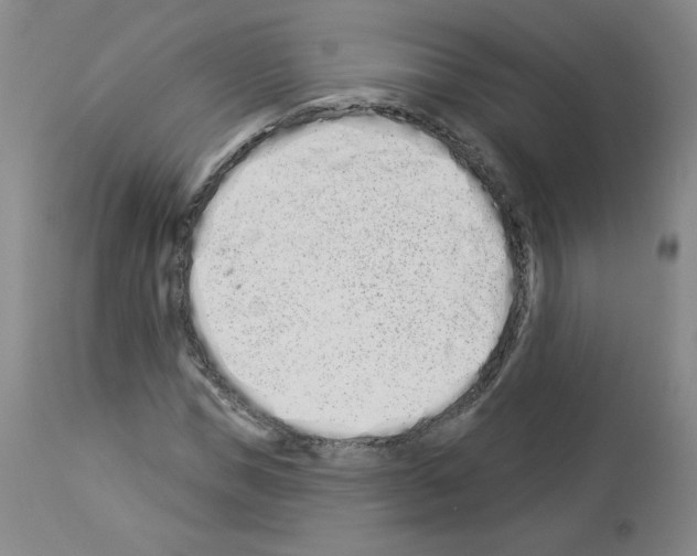 X0000112840921200910021104