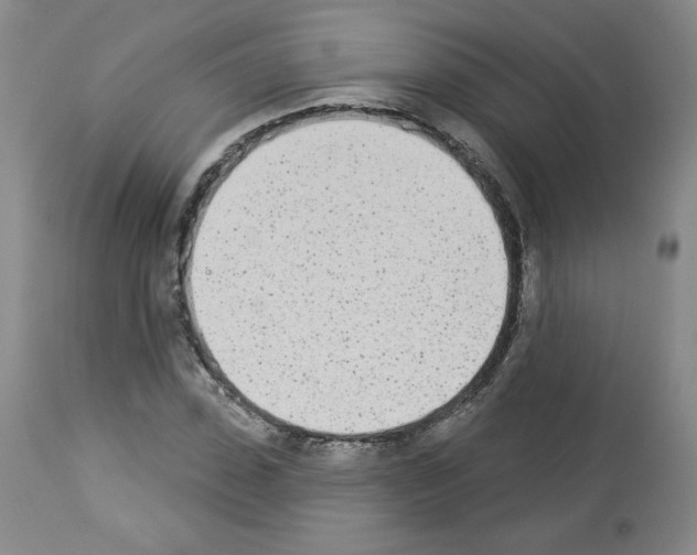 X0000112840923200910021104