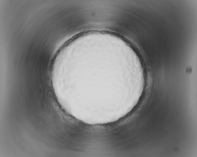 X0000112840925200910021104