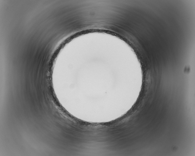 X0000112840926200910021104