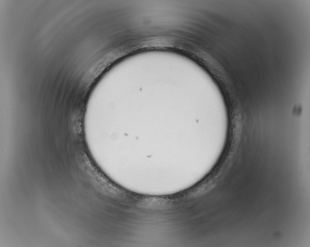 X0000112840929200910021104