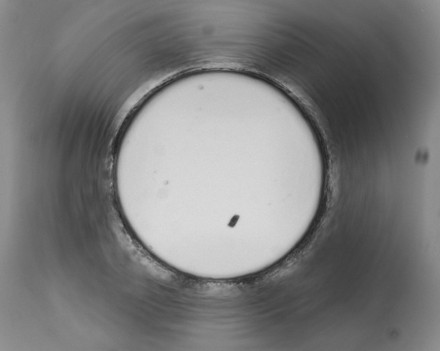 X0000112840933200910021104