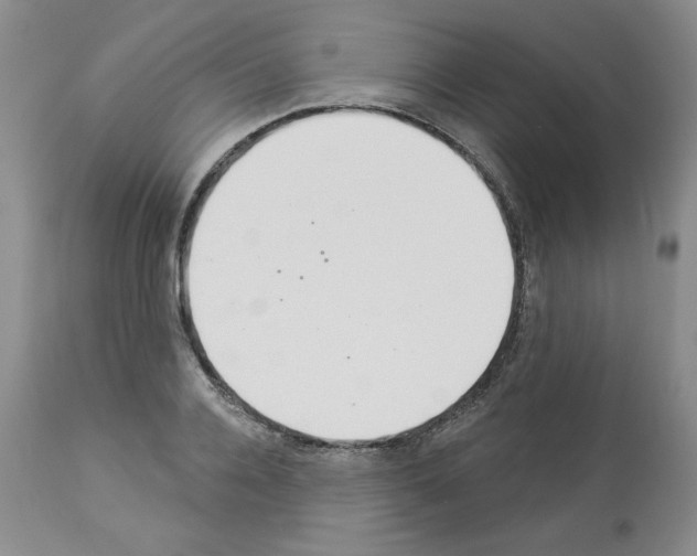 X0000112840936200910021104