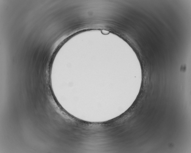 X0000112840944200910021105