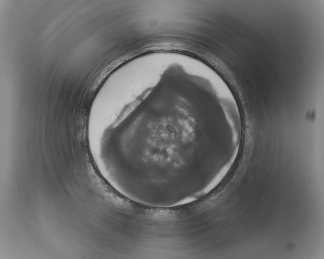 X0000112840945200910021105