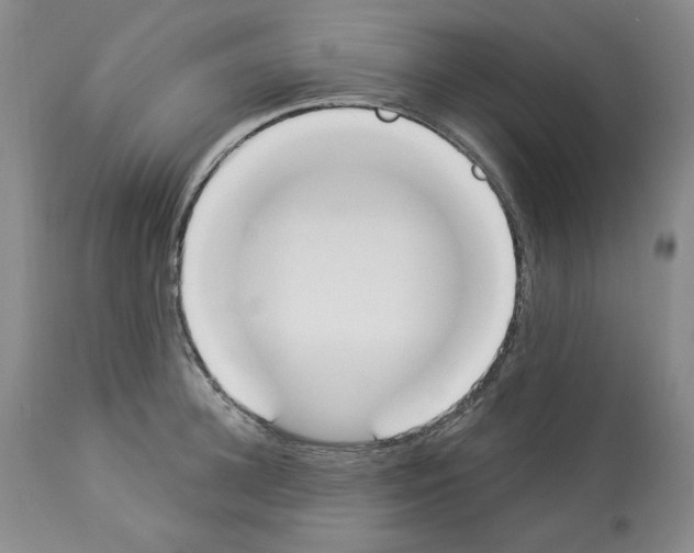 X0000112840948200910021105