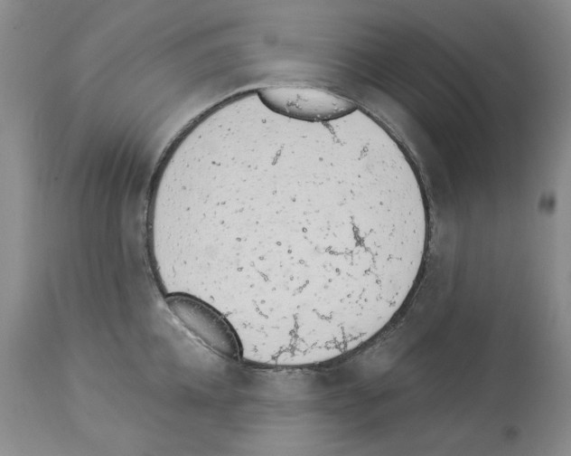 X0000112840952200910021105